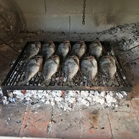 Julija * Kaštela